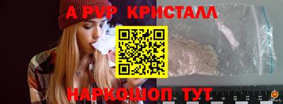 спайс Кингисепп