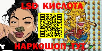 спайс Кингисепп