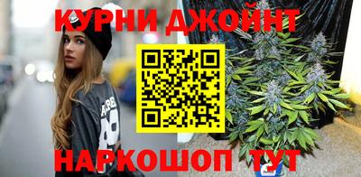 спайс Кингисепп