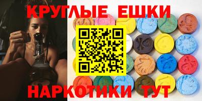 спайс Кингисепп