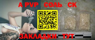 спайс Кингисепп
